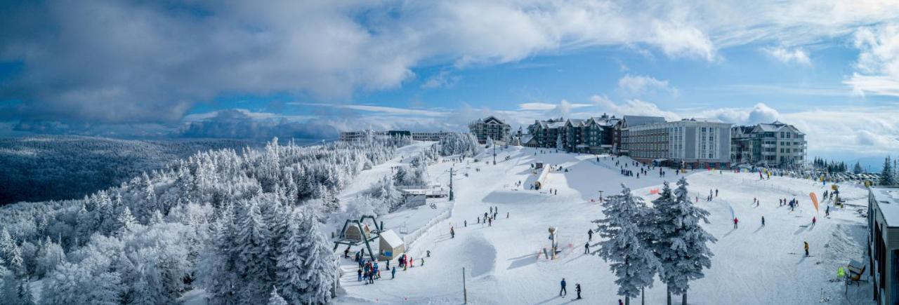 Stroll To Slopes, Village Area, Ski In-Out Mtlodge 333 Snowshoe Bagian luar foto